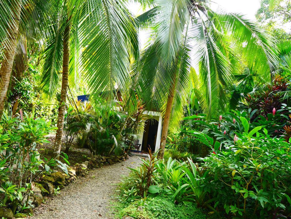 Cabinas Tito Cahuita Quarto foto